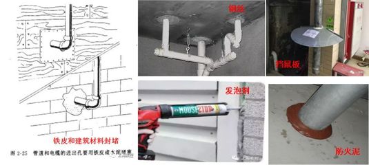 4月愛國衛(wèi)生月:哪些老鼠飛檐走壁擅游泳?專業(yè)人士指點滅鼠高招